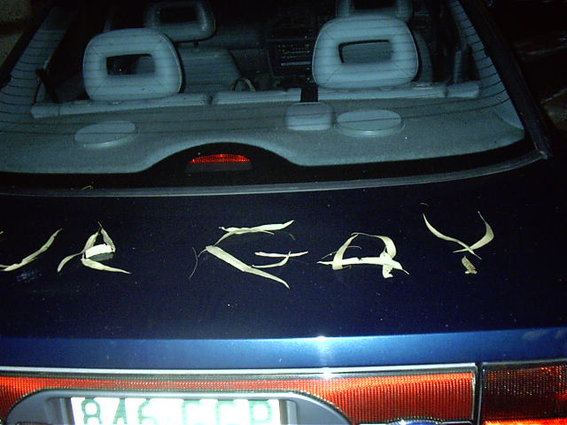 FatCat's car h4x0r3d by N4tur3.