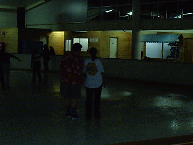 Fatty and Katie skate too far away from flash.