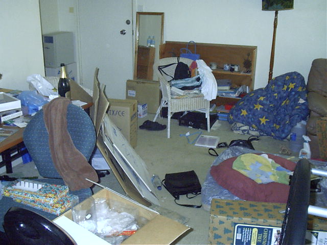 Before Katie can move, she has to first make as big a mess as she can. It's in the constitution.