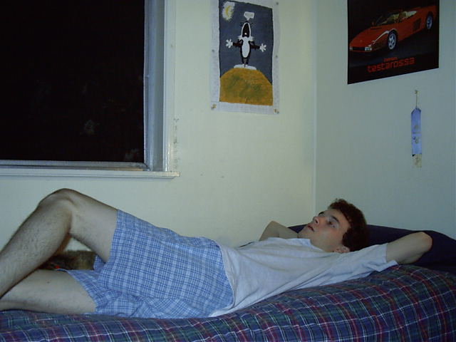 Alas, forced to actually sleep in my real bed. Dog (on wall) knows my pain.