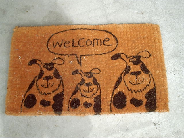 Welcome.
