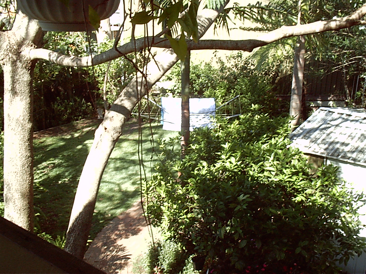 My backyard. I never go there, it has fresh air and the sun.