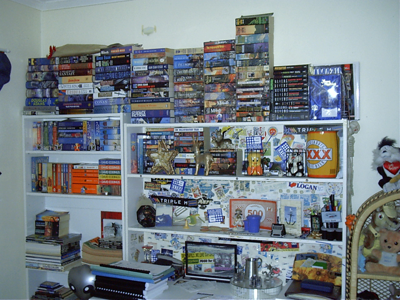 My bookshelf in my 'actual' room upstairs. (I have not slept there in years)