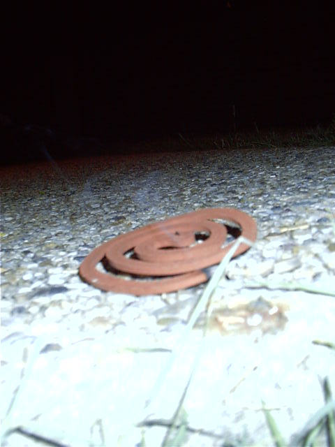 This is why worms don't smoke cigerettes.