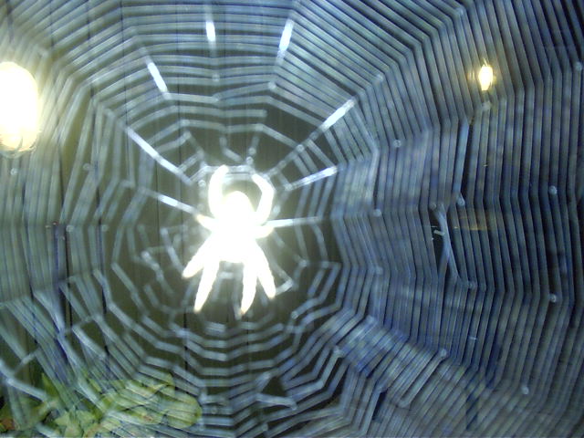 How Spiderman started.