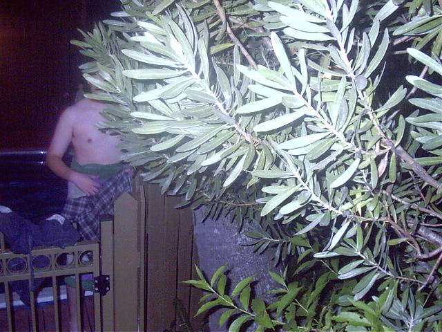 Draxy tries to hide from the blackmail, I mean photo.