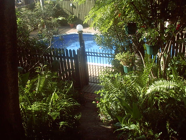 The pool. Don't ask me, Draxy took it.