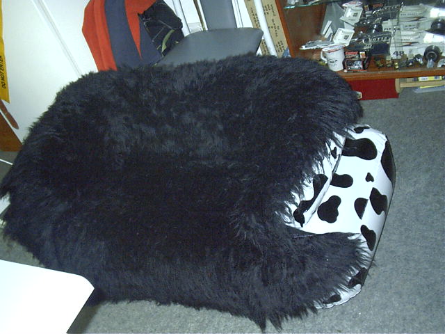The cow was cold.