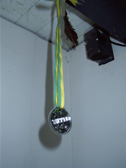 I won this medal in the field of 'Stealing fake medals from Maccas'.