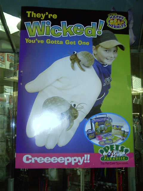 Gotta get them! Gotta get them all!!!! Hermit-crap-a-mon!!!!