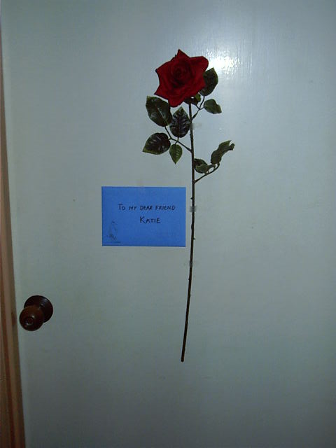 One of the 3 flowers I gave on Valentines Day to show ppls I care.