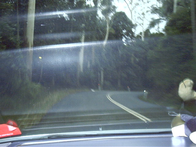 Now you see bushlands.