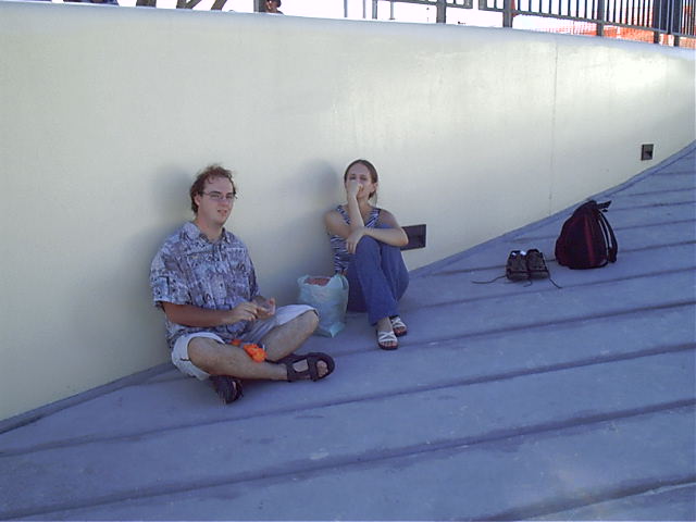 Lime and Lui find the nearest shade. Smart move.