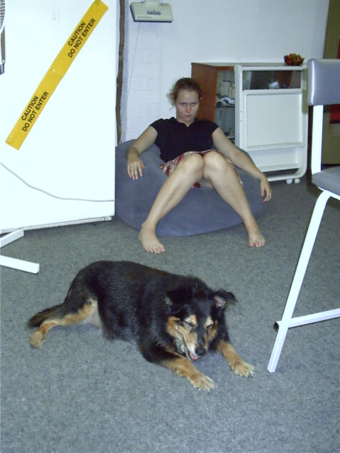 Katie is not pleased. Oscar however, can't stop laughing.