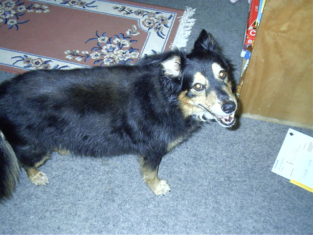 Oscar Smiles(tm)