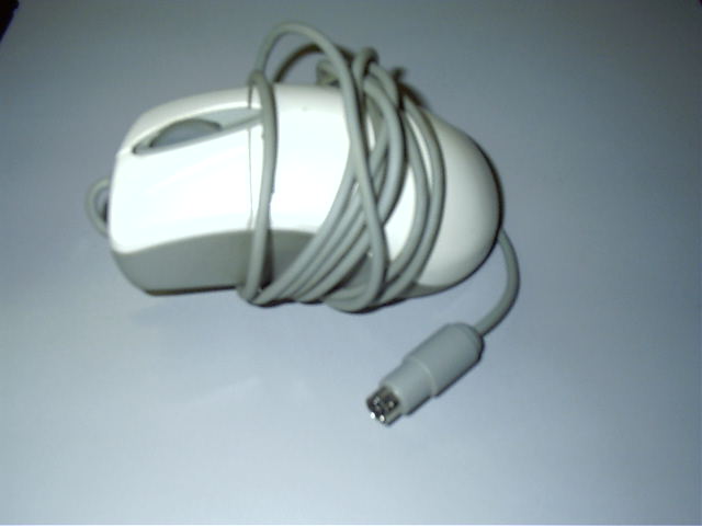 Free mouse, which i gave to Draxy