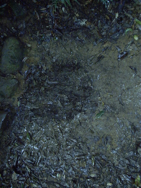 Very muddy