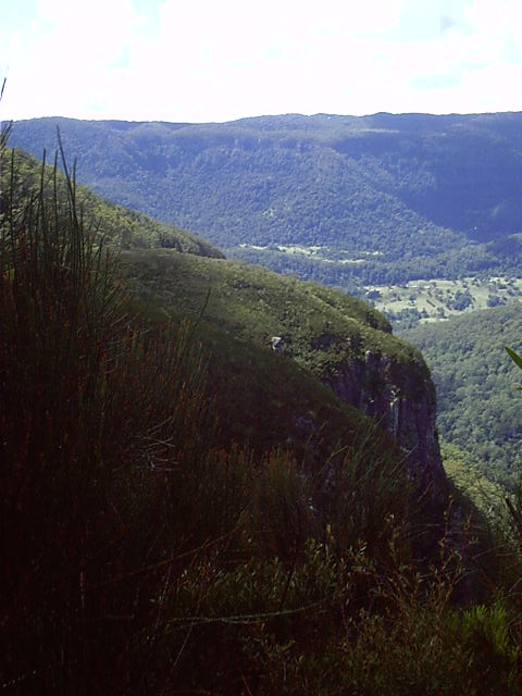 The hills are alive....