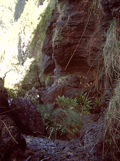 Nice waterfall