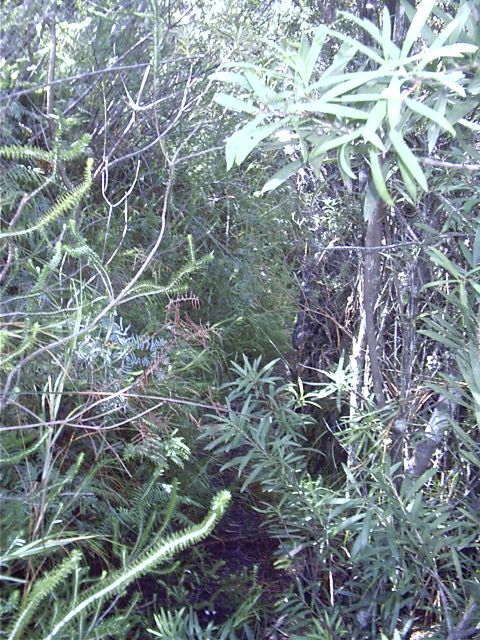 Nice path guys