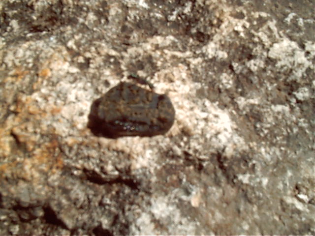 Even for the ant. Try and carry that sucker!