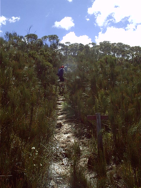 Thats not a path, thats a creek
