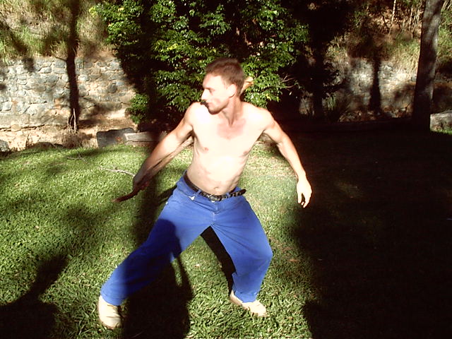 Cavie fights! OR DIES!!!!