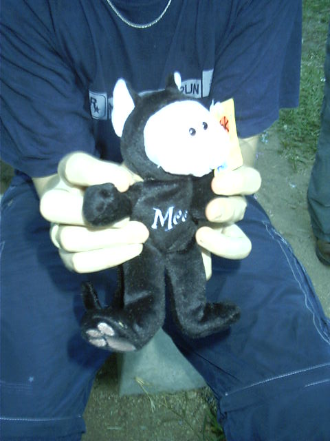 Beanie Baby Ninja. The ultimate power!