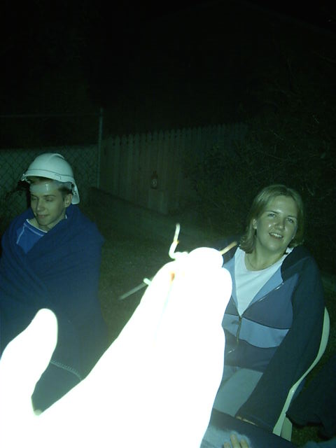 A Praying Mantis feels the light
