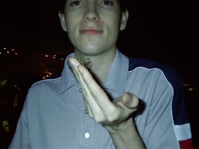 Mantis and MiniMantis