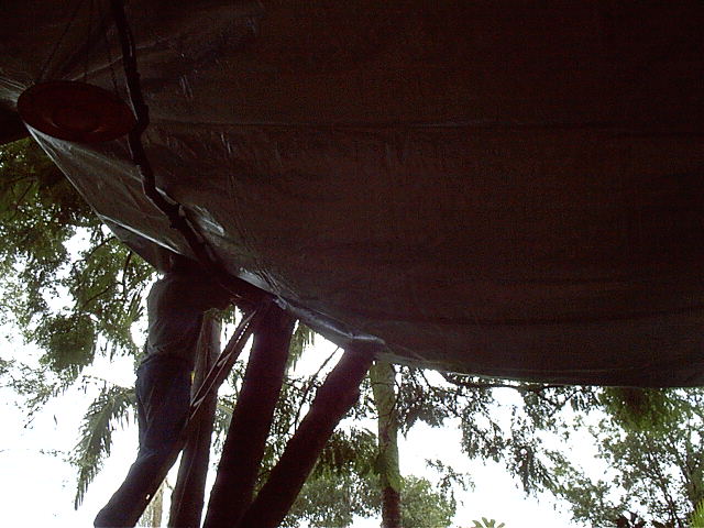 Dad puts the massive tarp up