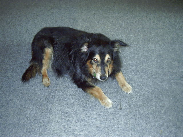 Oscar