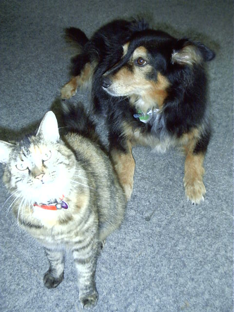 Sushi and Oscar