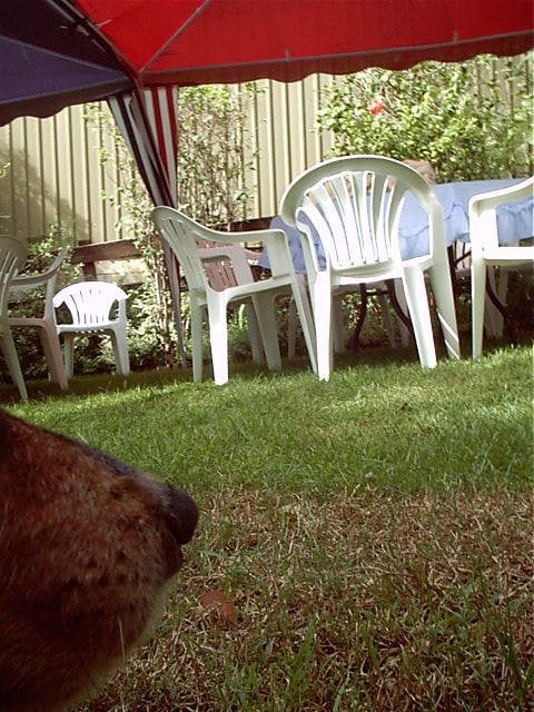 OscarCam