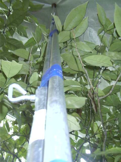 My uberpole