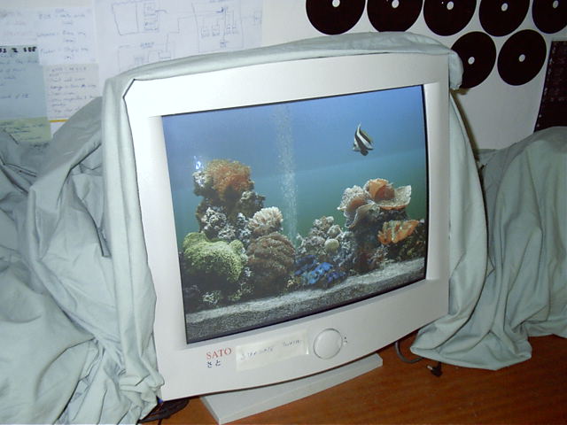 And I bring out the fish to watch.