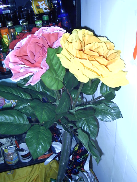 Big-arsed flowers