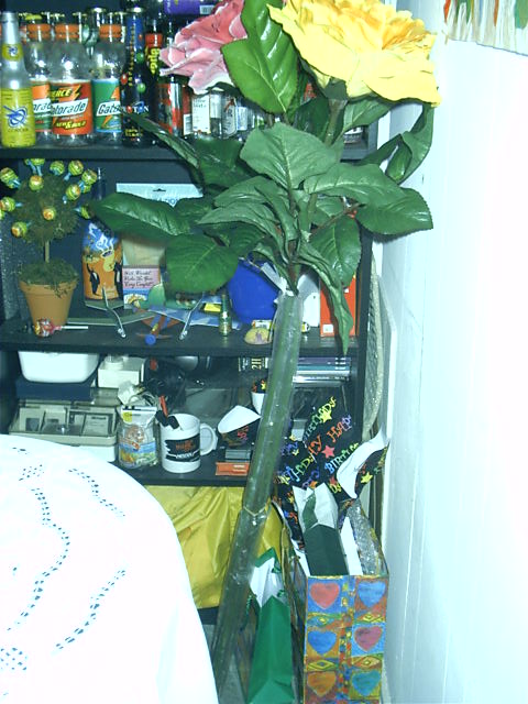 ARG! Triffid!