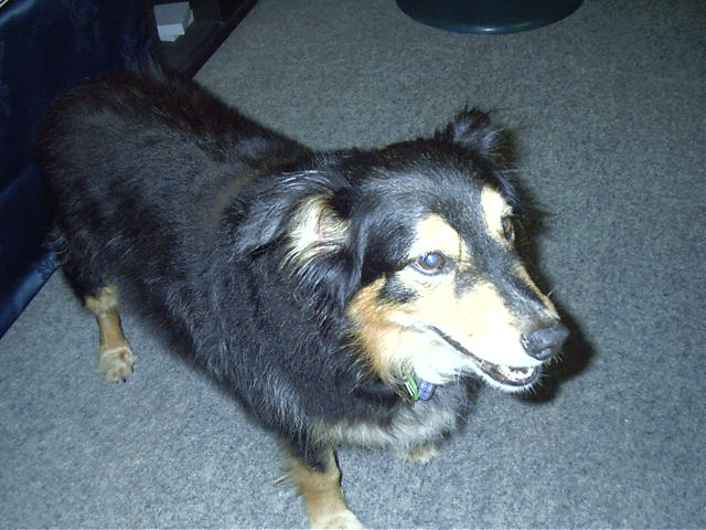 Oscar smiles