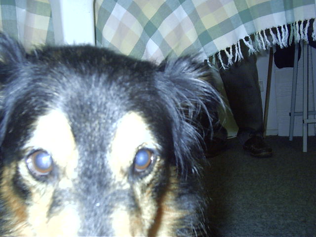 Though, Oscar does not seem impressed