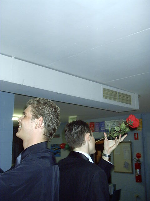 Attempt 1 at rose balancing
