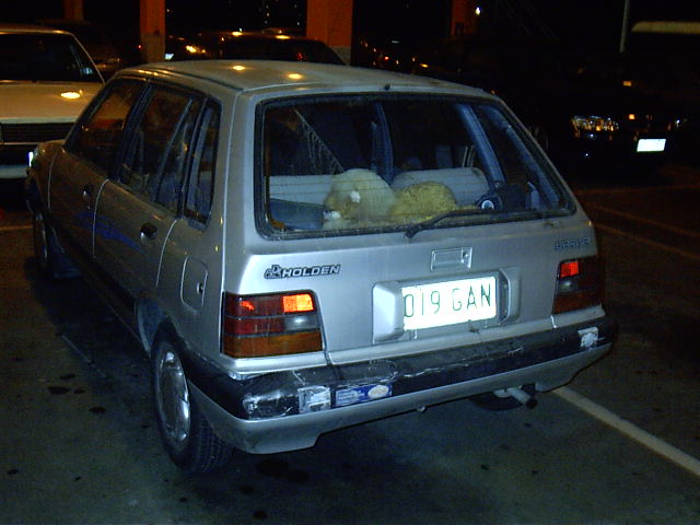 Vicki's Barina of Duck Death
