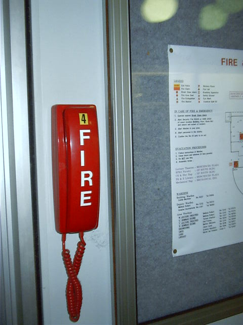 This phone calls the president