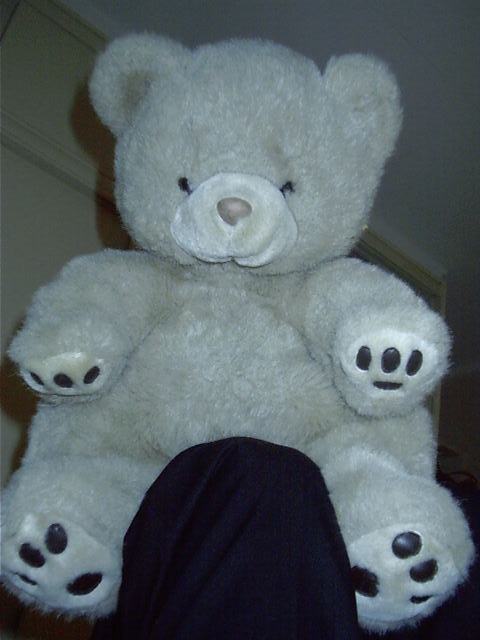 And her 'teddy'
