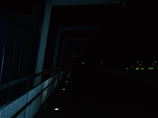 Tanya and I venture across the newly built river bridge.