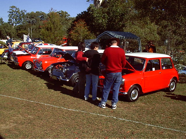 Red seems a popular choice