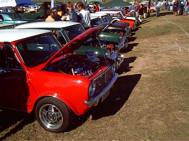 More mini's
