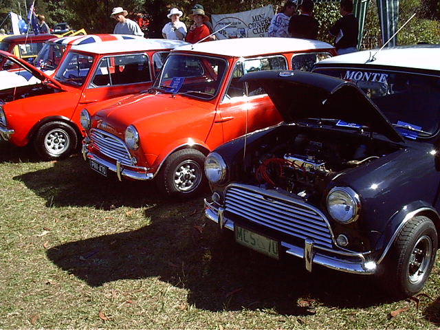 3 more mini's