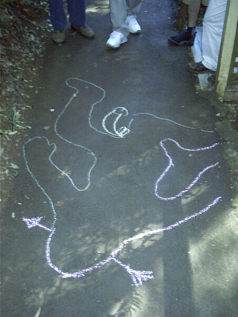 A dead Kewn-shaped outline