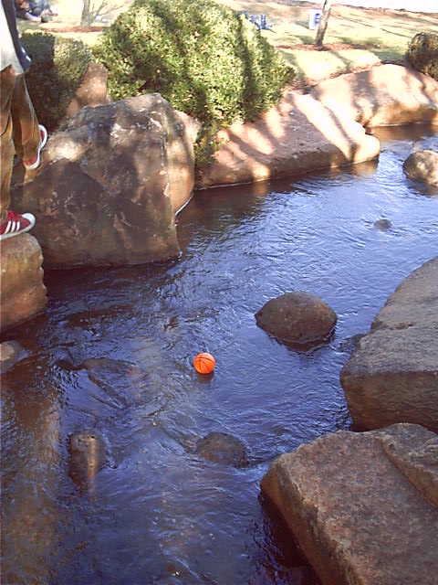 The fun you can have with a creek and a ball